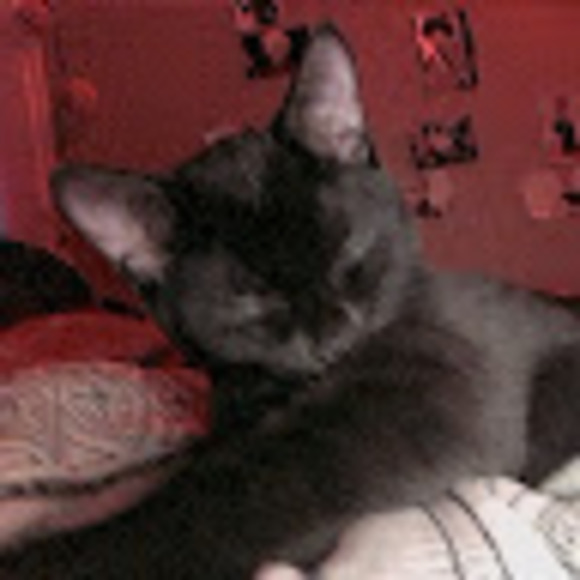 Meet your Posher, Anime lover - Picture 1 of 1